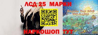 гидропоника Новозыбков