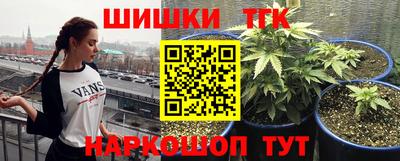 молекула духа Новокубанск