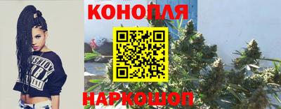 гидропоника Новозыбков