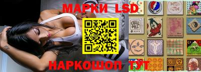 гидропоника Новозыбков