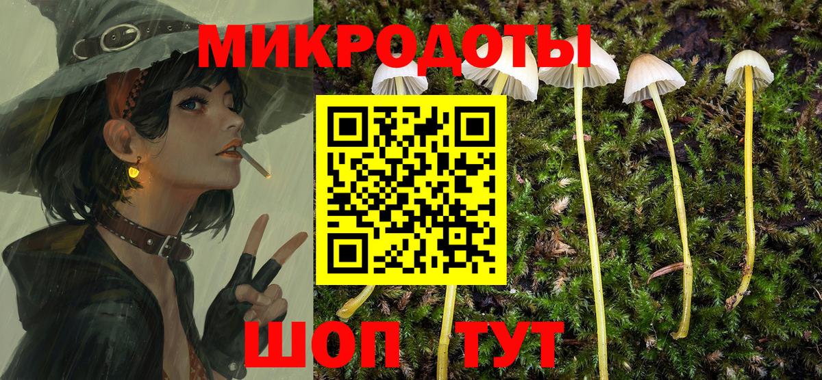 Галлюциногенные грибы Cubensis Отрадное