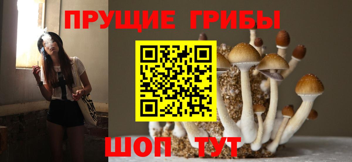 Псилоцибиновые грибы GOLDEN TEACHER  Вход с VPN  Отрадное 
